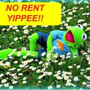 Meet your Posher, Samuel